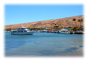 Milowai vacation rental - Maalaea Harbor, adjacent to the Milowai